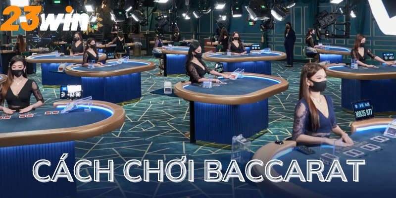 Cách chơi Baccarat